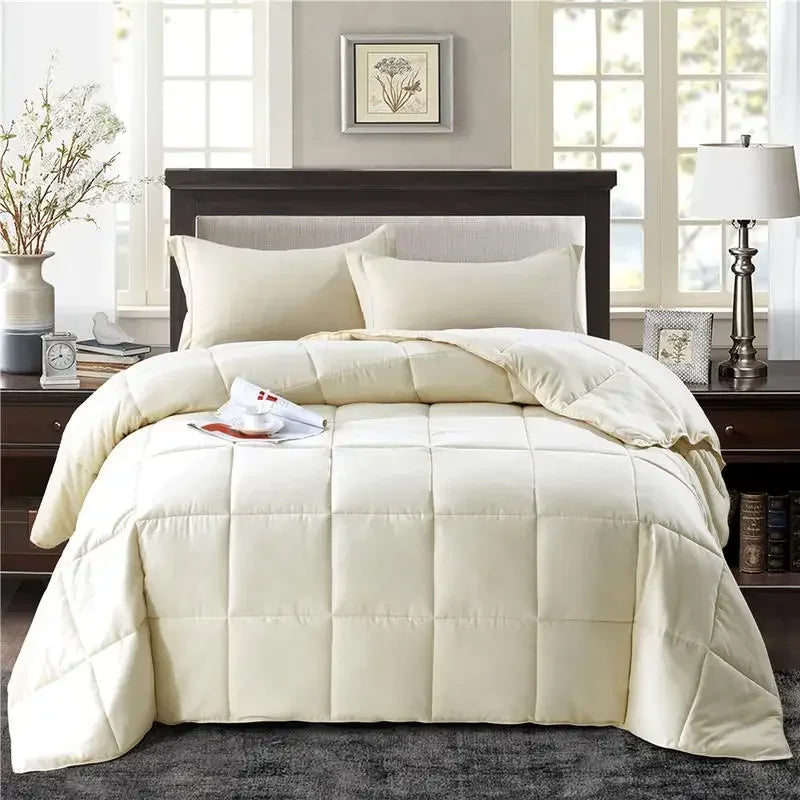 - All Season Reversible Comforter with Two Shams